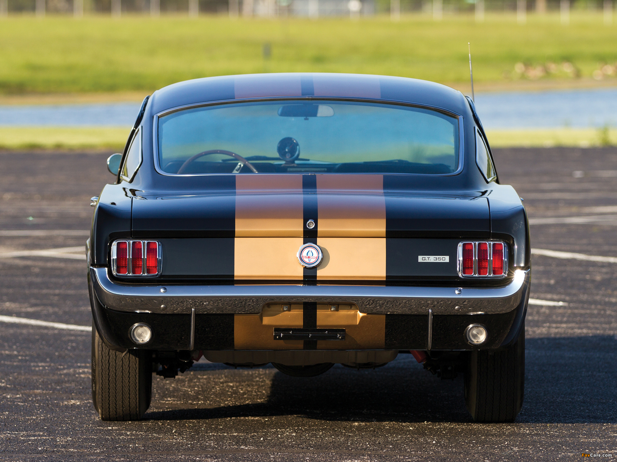 Shelby GT350H 1966 pictures (2048 x 1536)