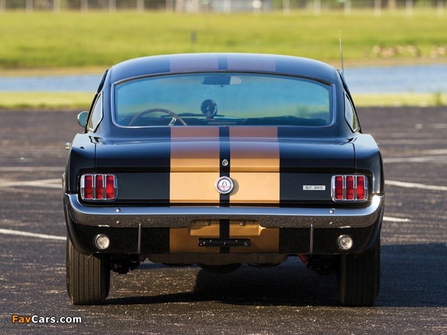 Shelby GT350H 1966 pictures (640 x 480)