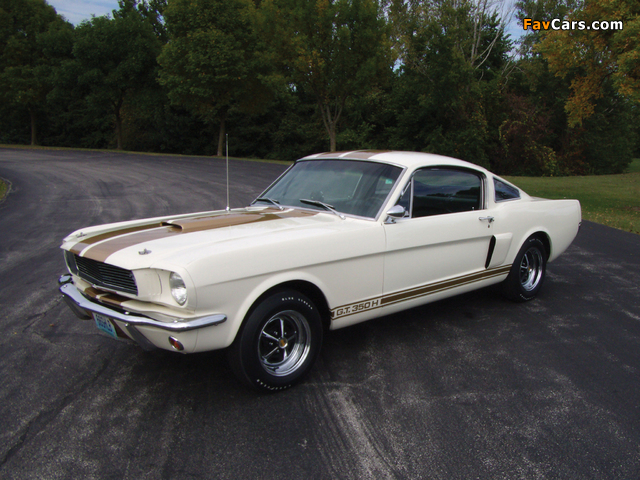 Shelby GT350H 1966 wallpapers (640 x 480)