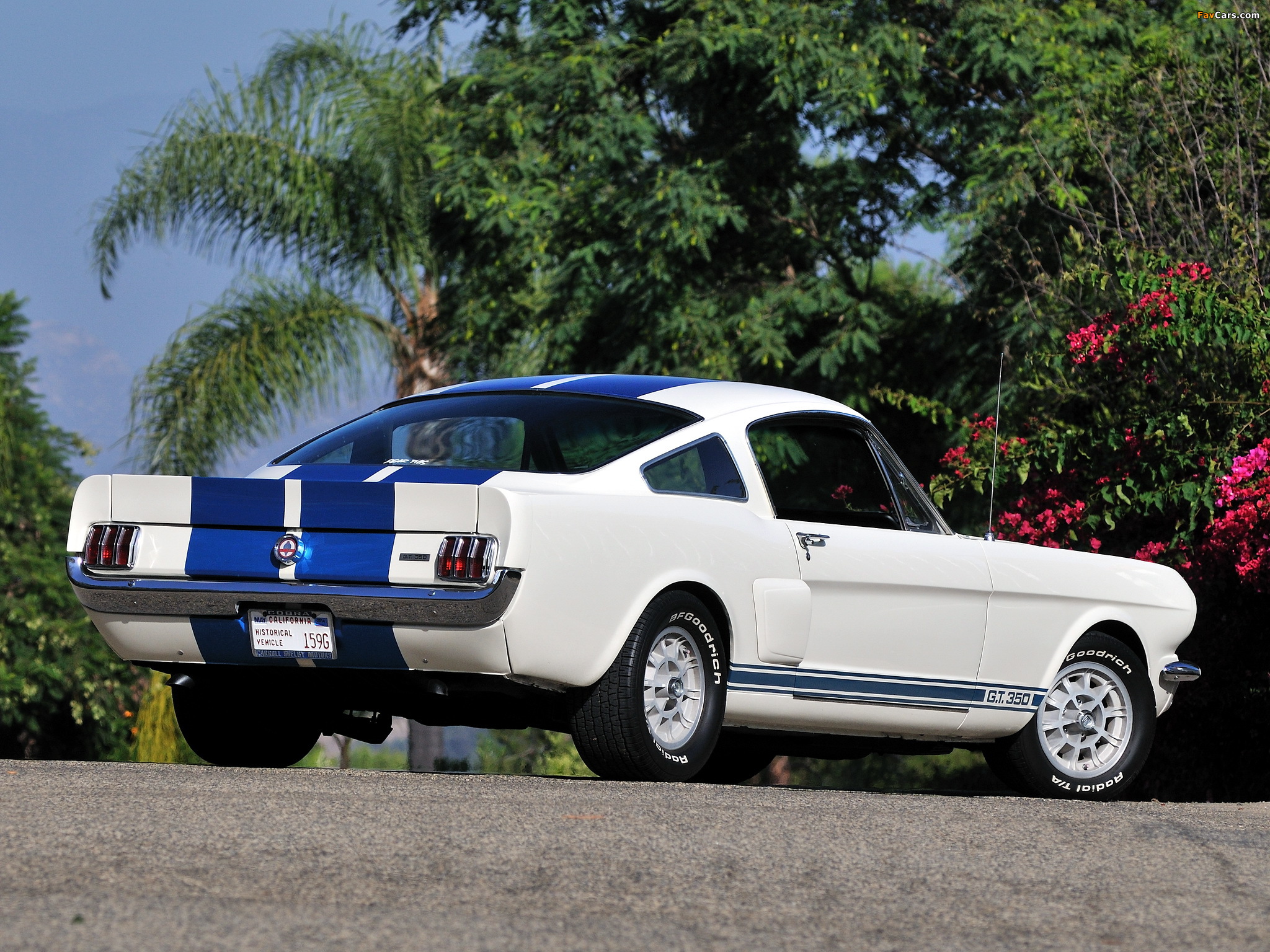 Shelby GT350 1966 wallpapers (2048 x 1536)