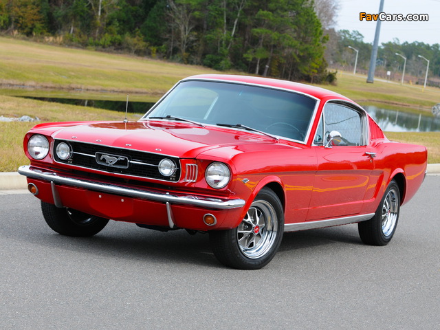 Mustang Fastback 1966 wallpapers (640 x 480)