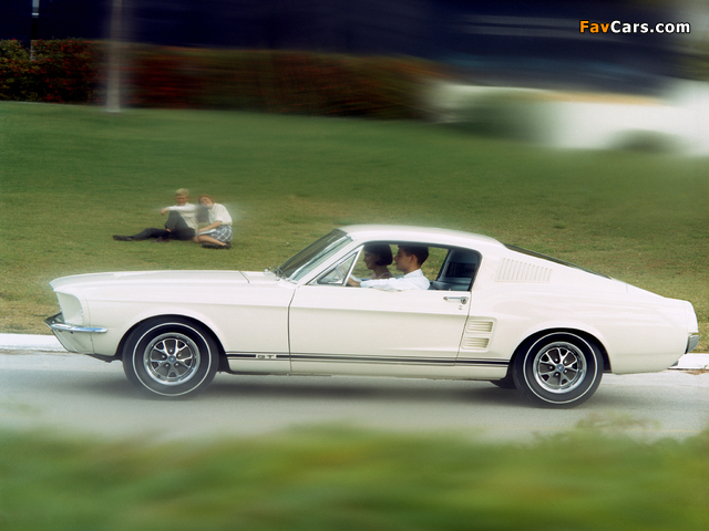 Mustang GT Fastback 1967 images (640 x 480)