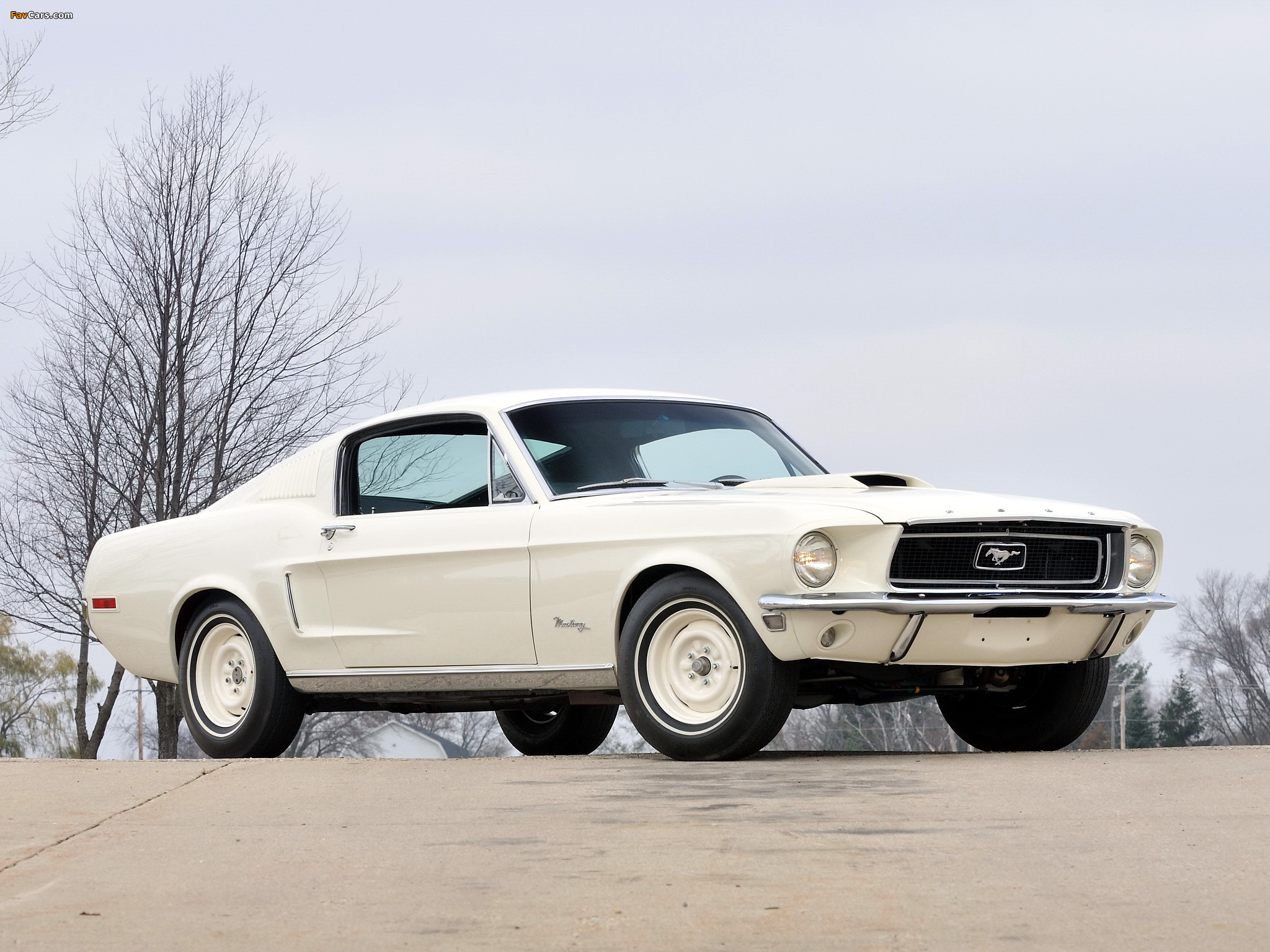 Mustang Lightweight 428/335 HP Tasca Car 1967 photos (2048 x 1536)