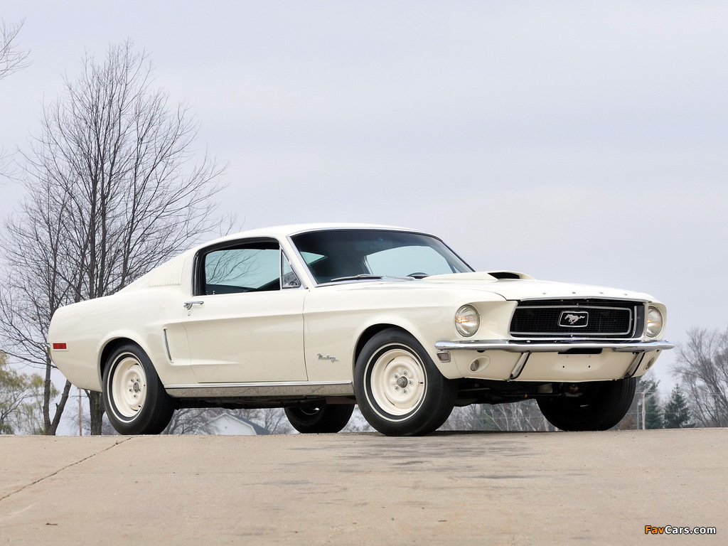Mustang Lightweight 428/335 HP Tasca Car 1967 photos (1024 x 768)
