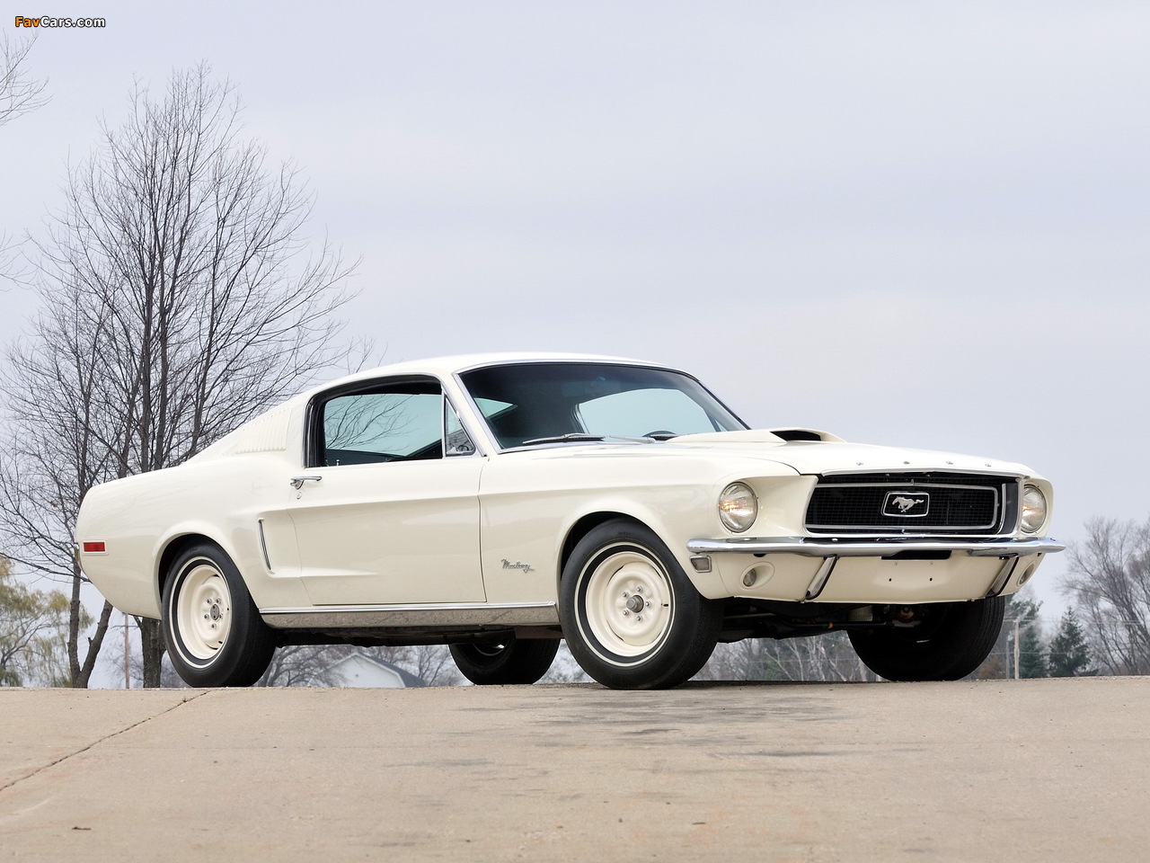 Mustang Lightweight 428/335 HP Tasca Car 1967 photos (1280 x 960)
