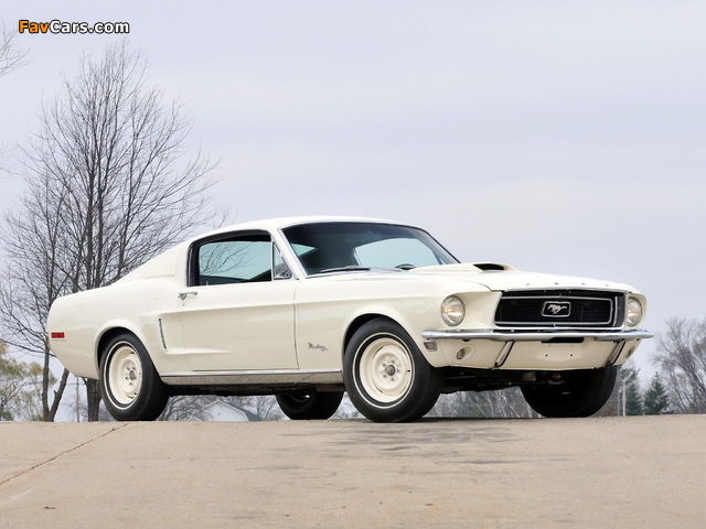 Mustang Lightweight 428/335 HP Tasca Car 1967 photos (640 x 480)