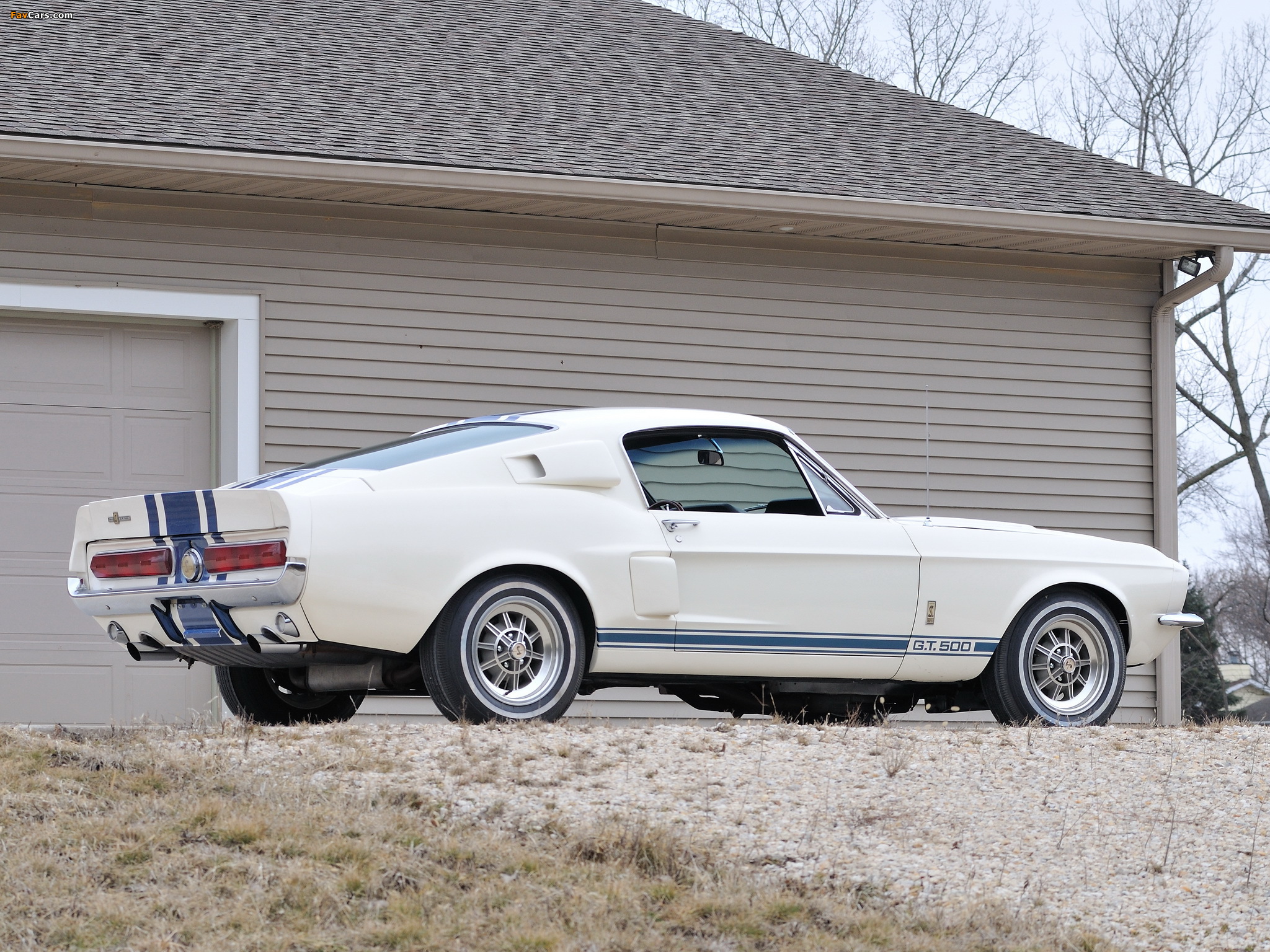 Shelby GT500 Super Snake 1967 pictures (2048 x 1536)