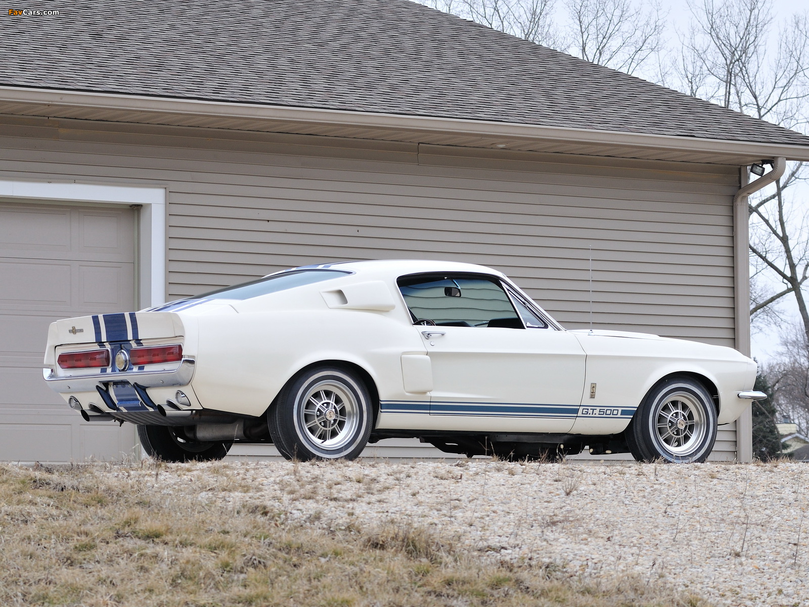 Shelby GT500 Super Snake 1967 pictures (1600 x 1200)