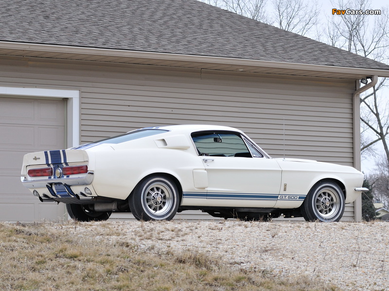 Shelby GT500 Super Snake 1967 pictures (800 x 600)