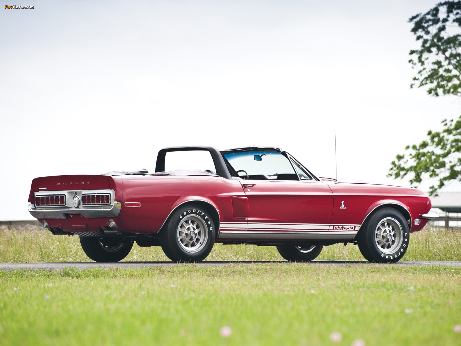 Shelby GT350 Convertible 1968 images (1600 x 1200)