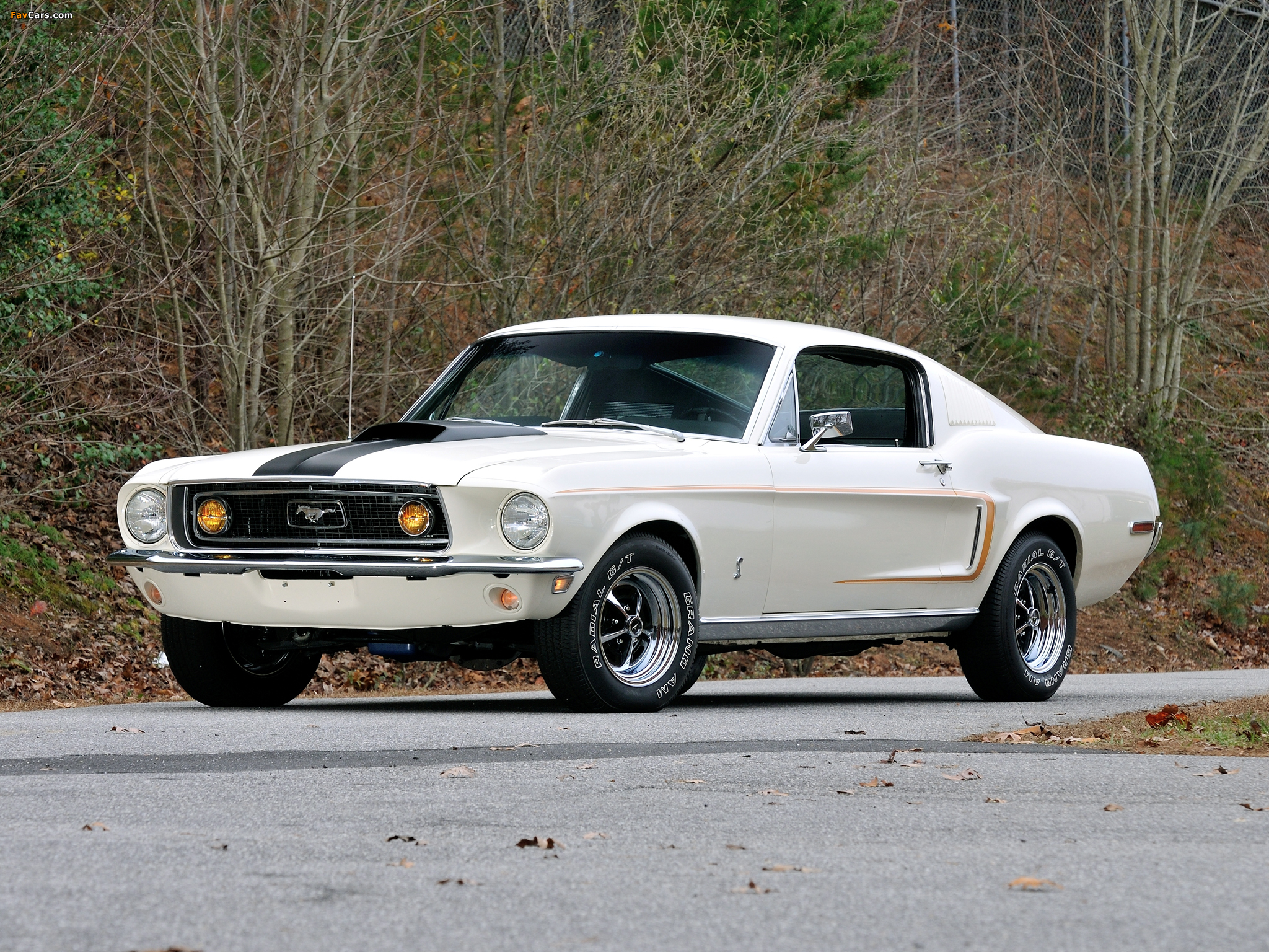 Mustang GT 428 Cobra Jet Fastback 1968 pictures (2048 x 1536)