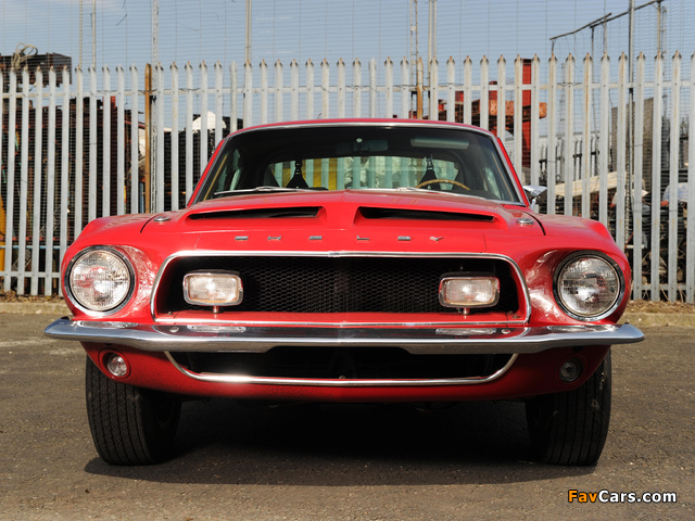 Shelby GT500 1968 pictures (640 x 480)