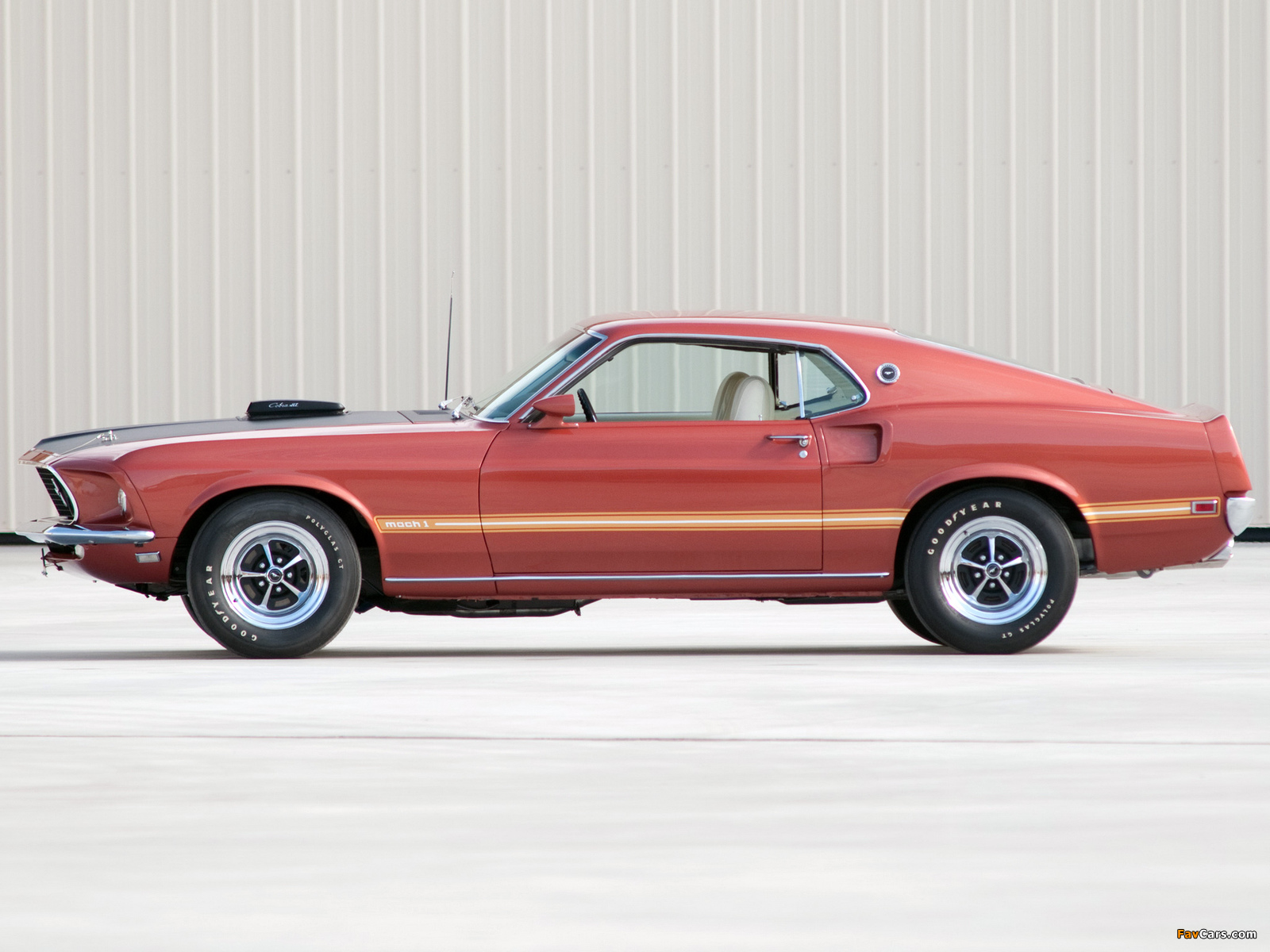 Mustang Mach 1 428 Super Cobra Jet 1969 images (1600 x 1200)