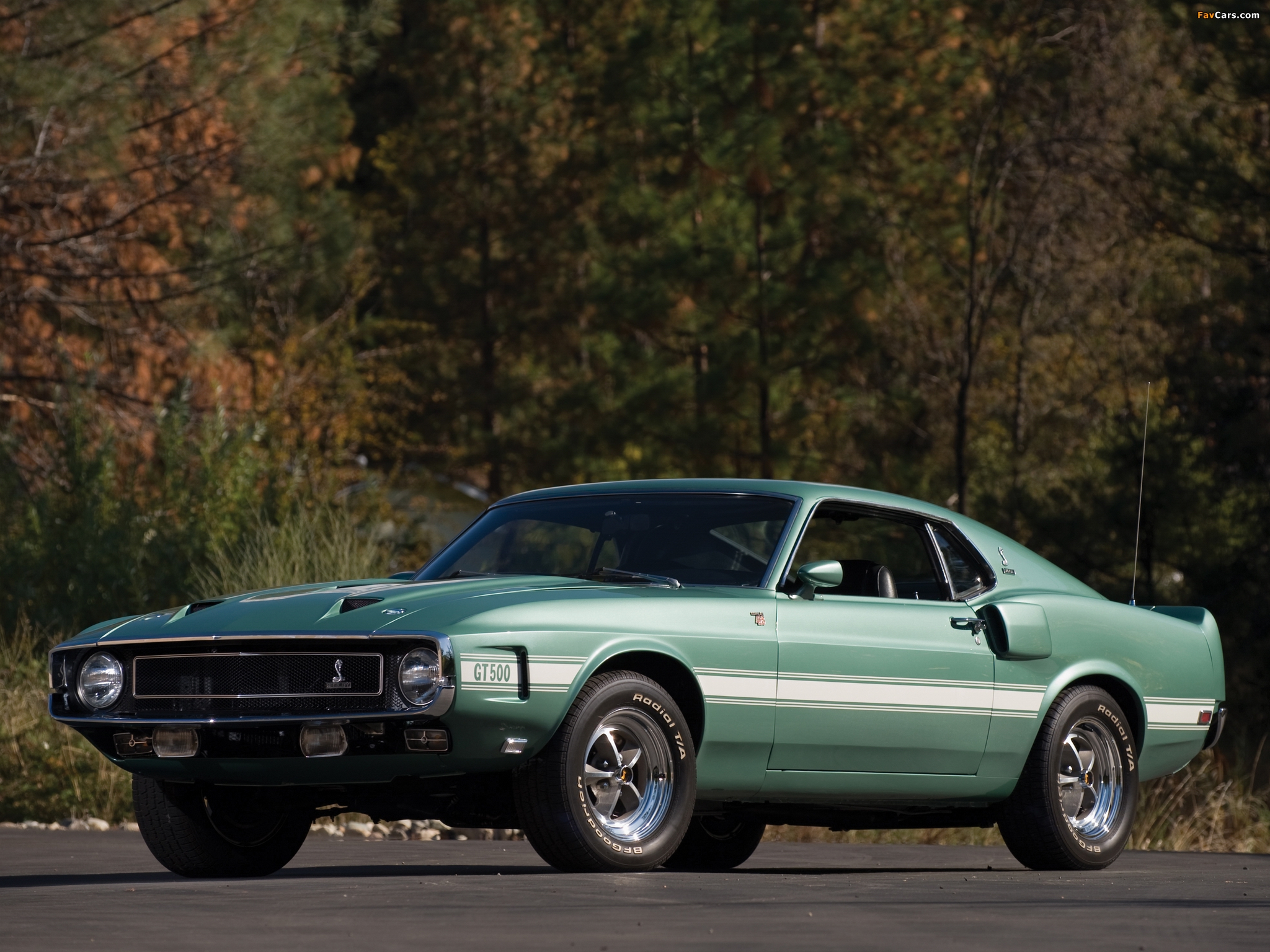 Shelby GT500 1969–70 pictures (2048 x 1536)