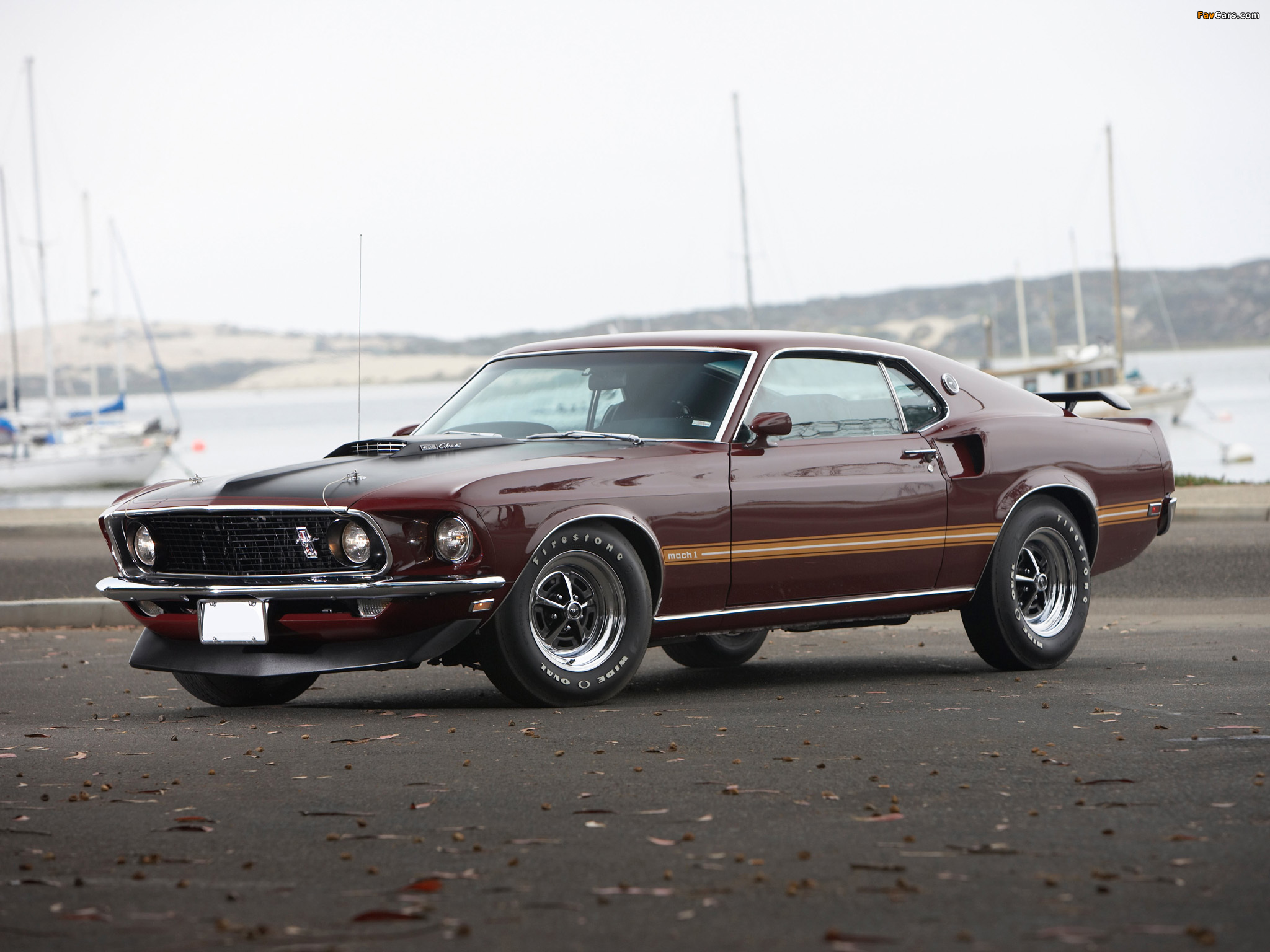 Mustang Mach 1 428 Super Cobra Jet 1969 wallpapers (2048 x 1536)