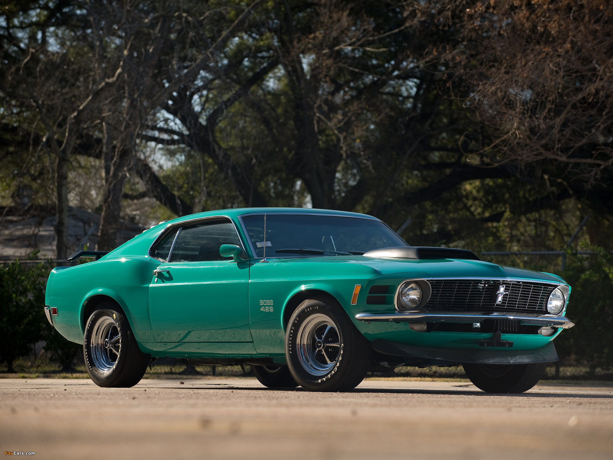 Mustang Boss 429 1970 images (2048 x 1536)