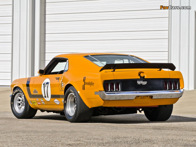Mustang Boss 302 Trans-Am Race Car 1970 pictures (640 x 480)