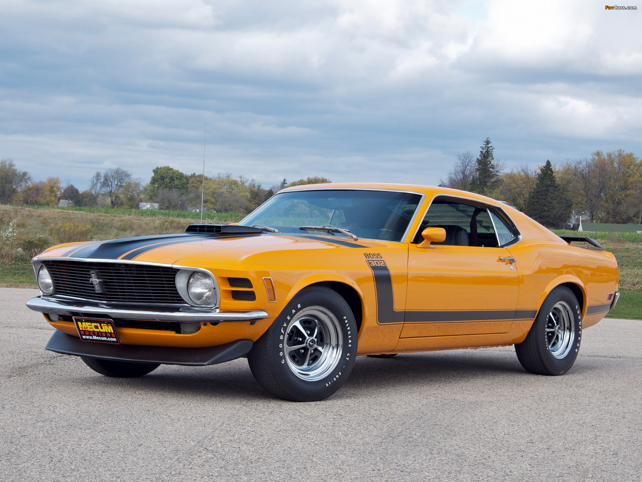 Mustang Boss 302 1970 pictures (2048 x 1536)