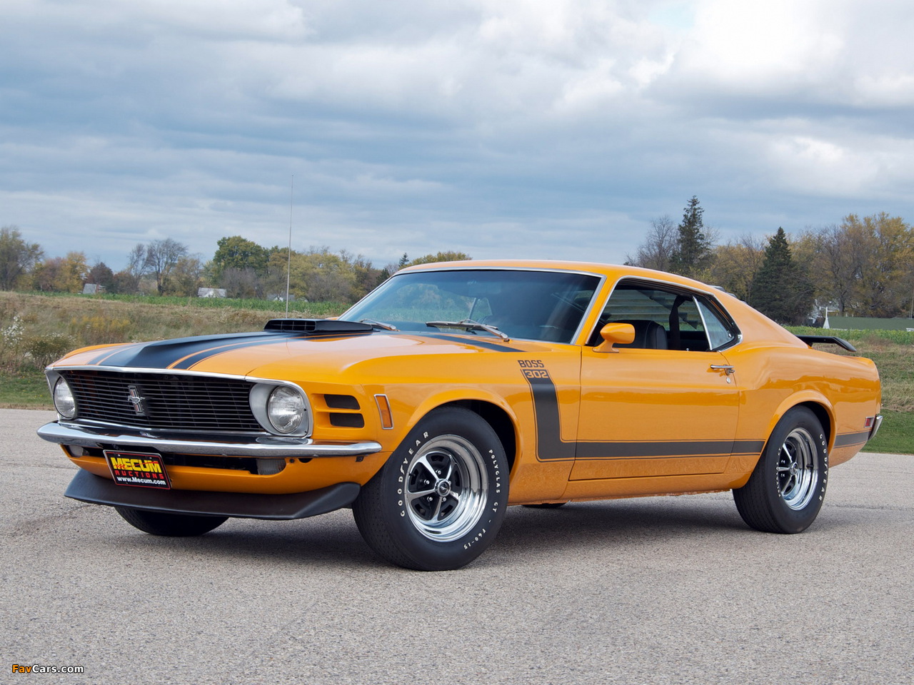 Mustang Boss 302 1970 pictures (1280 x 960)