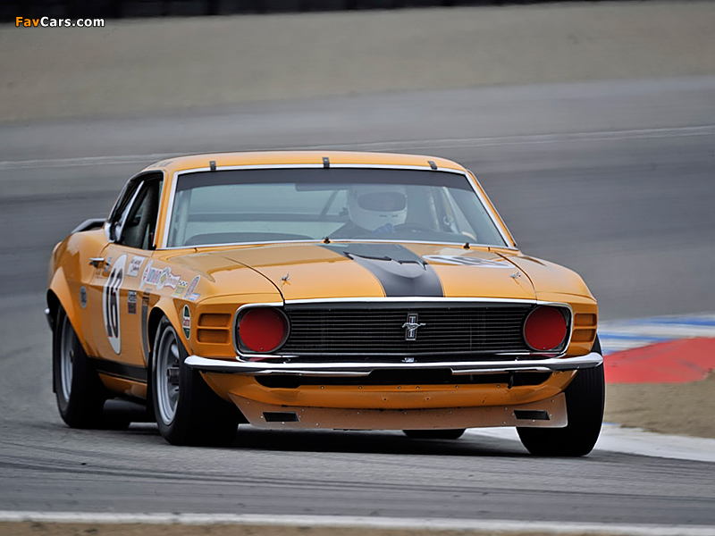 Mustang Boss 302 Trans-Am Race Car 1970 wallpapers (800 x 600)