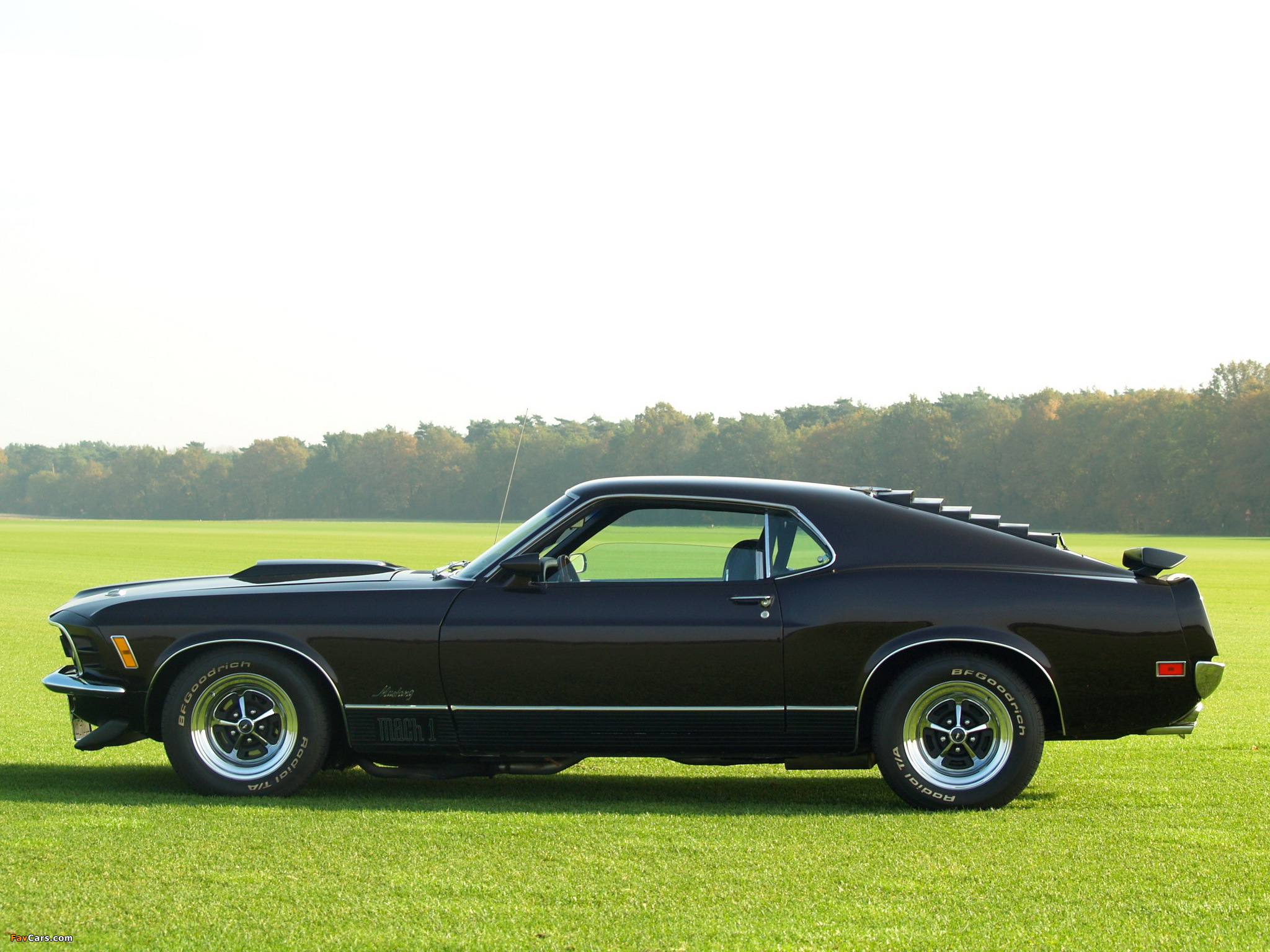 Mustang Mach 1 1970 wallpapers (2048 x 1536)