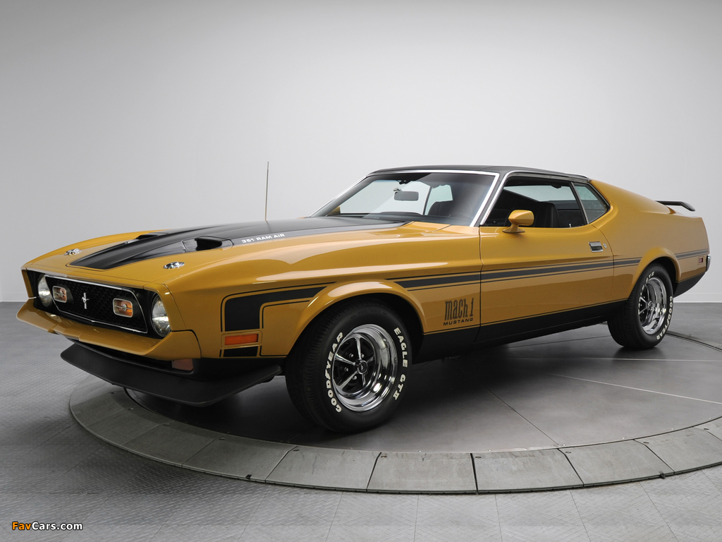 Mustang Mach 1 1971–72 images (1024 x 768)