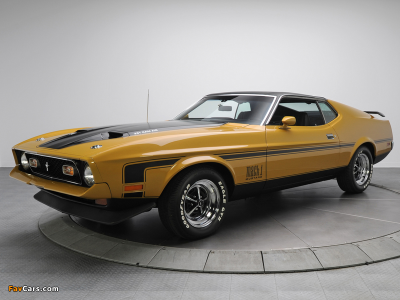 Mustang Mach 1 1971–72 images (800 x 600)