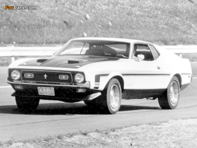 Mustang Boss 351 1971 photos (640 x 480)