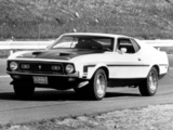 Mustang Boss 351 1971 photos