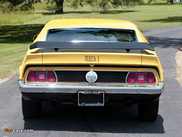 Mustang Mach 1 1971–72 photos (640 x 480)