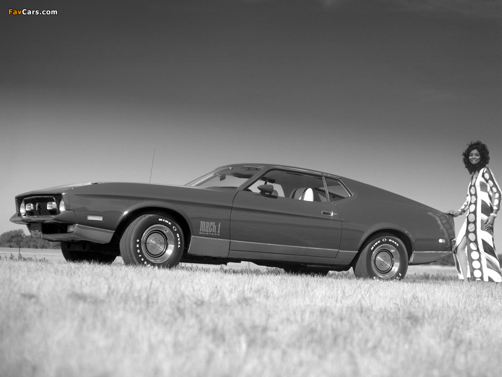 Mustang Mach 1 1971–72 photos (1024 x 768)