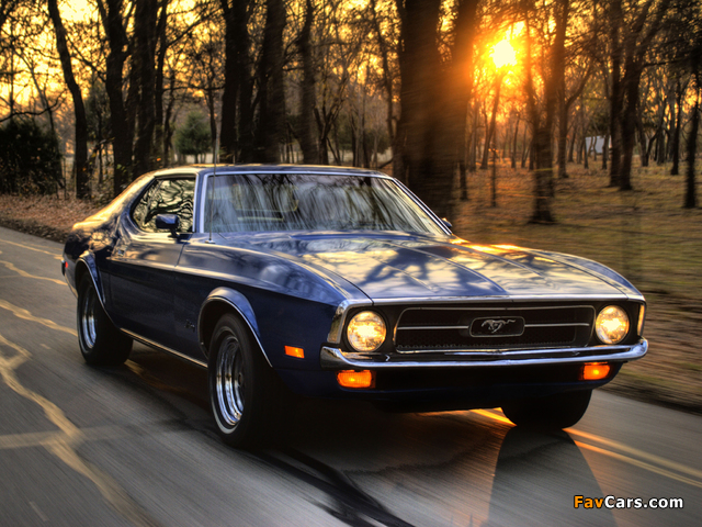 Mustang Hardtop 1971 pictures (640 x 480)
