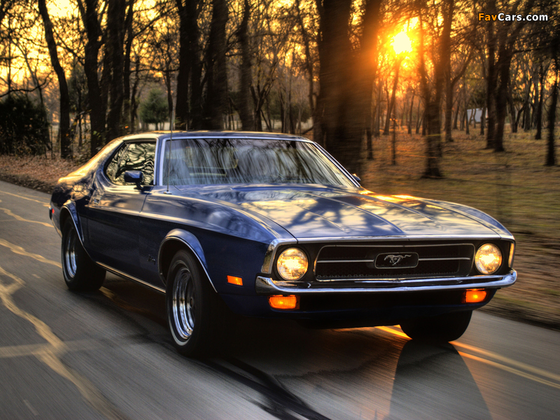 Mustang Hardtop 1971 pictures (800 x 600)