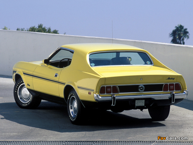 Mustang Coupe 1973 images (640 x 480)