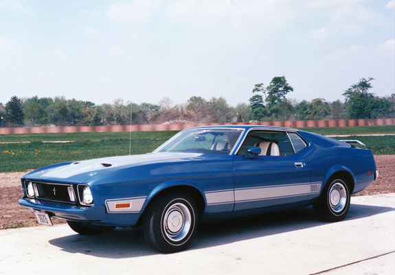 Mustang Mach 1 1973 photos