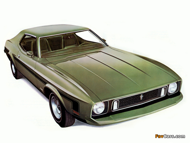 Mustang Coupe 1973 pictures (640 x 480)
