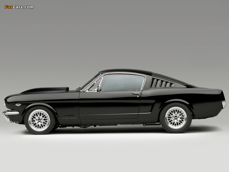 Mustang Fastback Concept 2003 images (800 x 600)