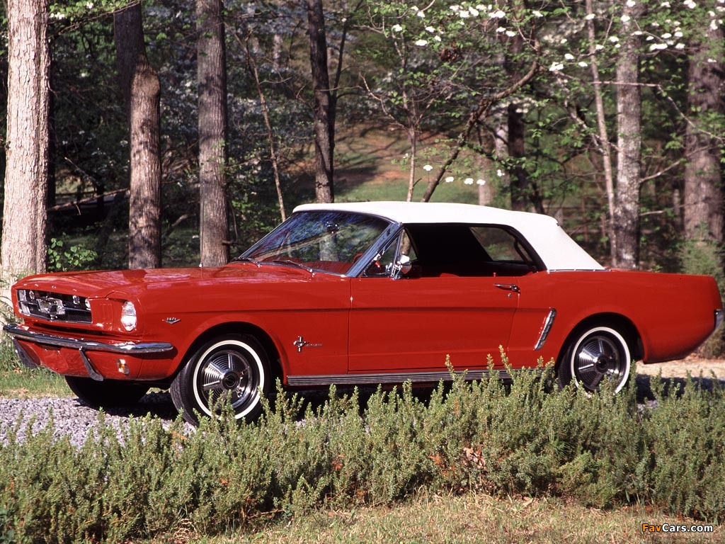 Photos of Mustang Convertible 1964 (1024 x 768)