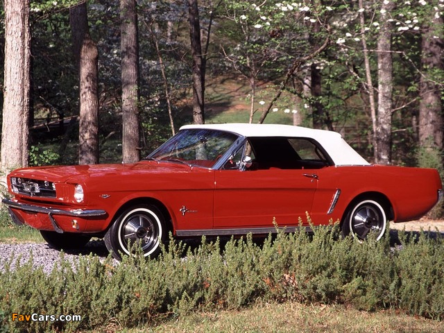 Photos of Mustang Convertible 1964 (640 x 480)