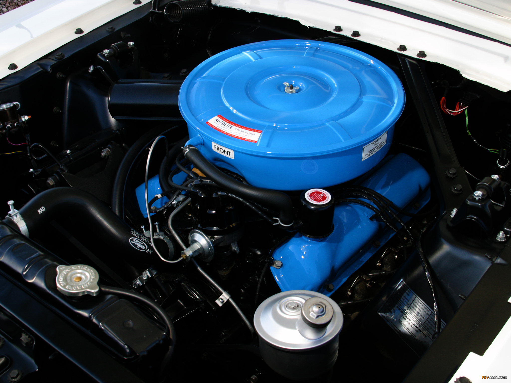 Photos of Mustang Hardtop Coupe Indy 500 Pace Car 1964 (2048 x 1536)