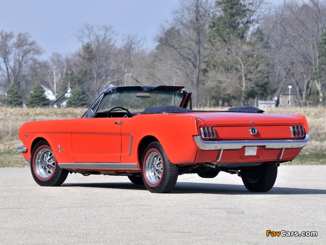 Photos of Mustang 260 Convertible 1964 (640 x 480)