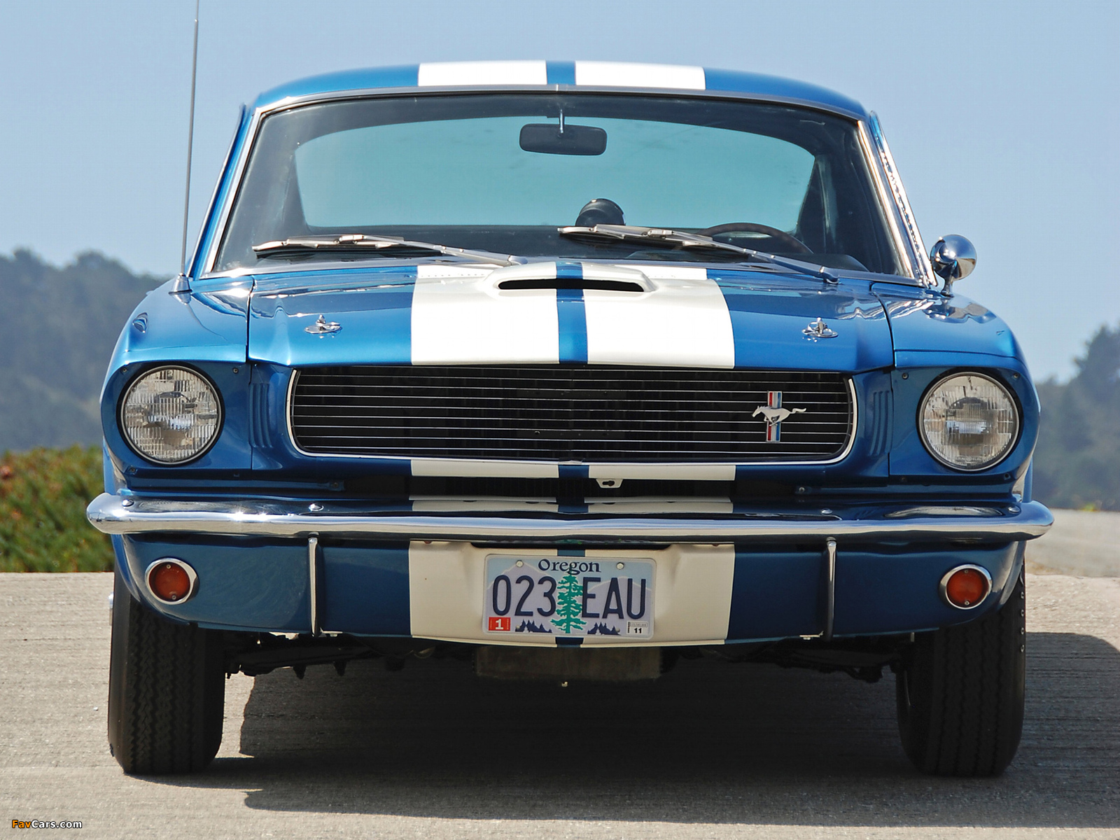 Photos of Shelby GT350 1965 (1600 x 1200)
