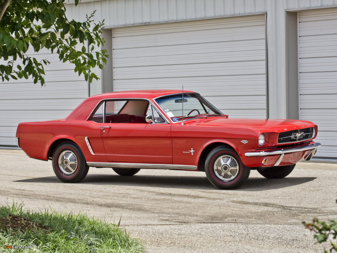 Photos of Mustang Coupe 1965 (1280 x 960)