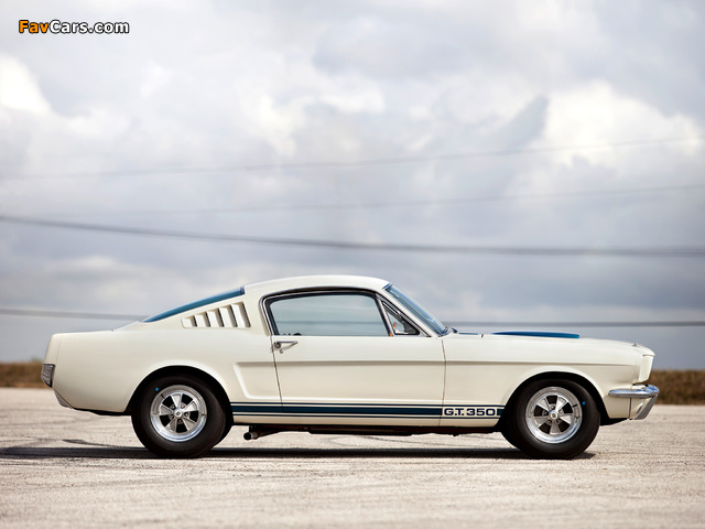 Photos of Shelby GT350 1965 (640 x 480)