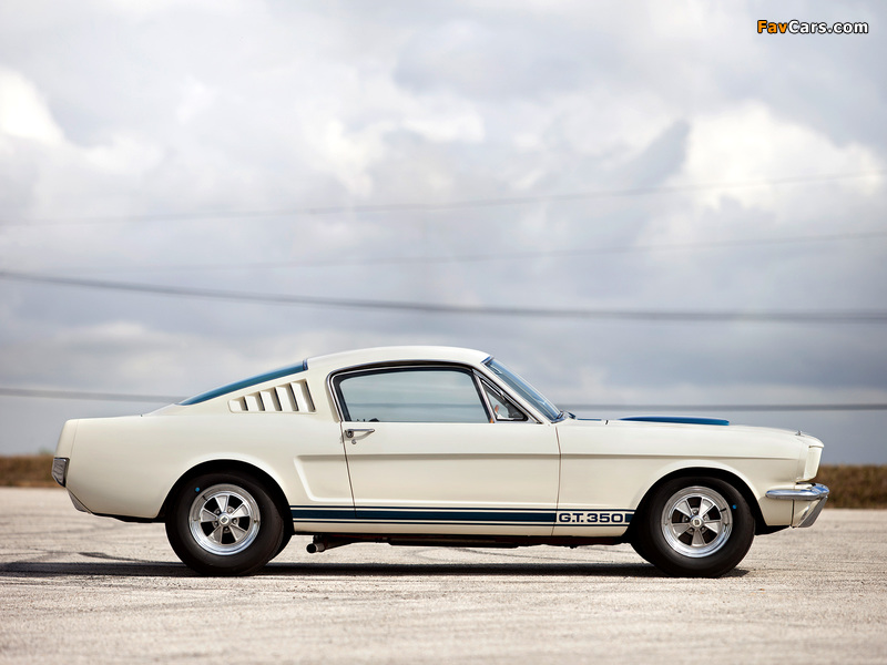 Photos of Shelby GT350 1965 (800 x 600)
