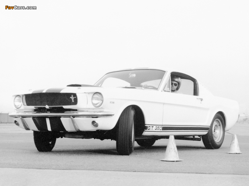 Photos of Shelby GT350 1965 (800 x 600)
