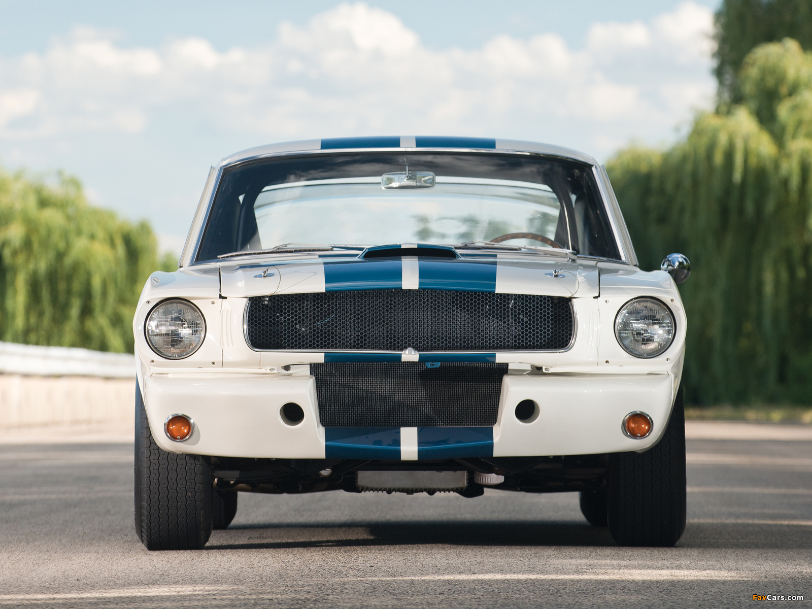 Photos of Shelby GT350R 1965 (1600 x 1200)