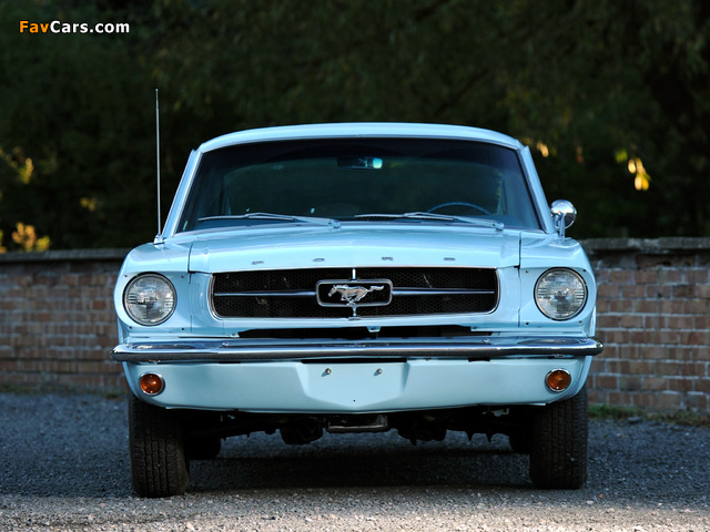 Photos of Mustang Fastback 1965 (640 x 480)