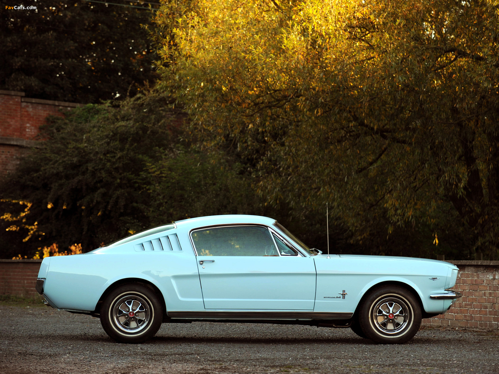 Photos of Mustang Fastback 1965 (1600 x 1200)