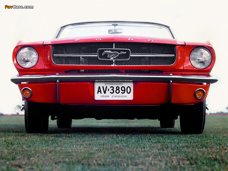 Photos of Mustang Convertible 1965 (800 x 600)